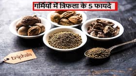 किन चीजों से बनता है त्रिफला? गर्मियों में खाने से दूर होती हैं शरीर की ये 5 बीमारियां, जानें गोली और पाउडर की सही मात्रा