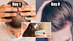 Fenugreek Seeds to stop Hairfall: महंगे प्रॉडक्‍ट नहीं बालों में लगाएं मेथी के दानों का पेस्‍ट