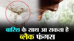 Black Fungus: सीलन वाले घरों में बारिश के साथ घुस सकता है ब्‍लैक फंगस