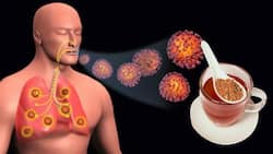 Ayurvedic tips for lungs: कोरोना से फेफड़ों को बचाना है तो पींए ये आयुर्वेदिक टोनर