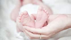 Covid-19: Is IVF Treatment A Safe Option Amid The Pandemic?