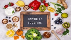 Covid-19: Government Shares List Of Foods To Boost Immunity