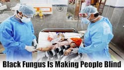Black Fungus On Rise In India: Mucormycosis Is Making COVID-19 Patients Blind, 8 Dead