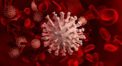 Blood Clotting Among Covid-19 Patients: Endovascular Surgeon Explains Causes And Treatment