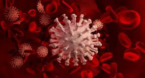 Blood Clotting Among Covid-19 Patients: Endovascular Surgeon Explains Causes And Treatment
