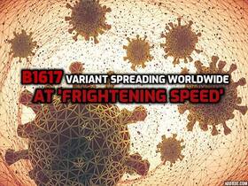 B1617 Covid-19 Variant With Potential of Causing 'Bigger Pandemic Storm' Spreading Rapidly: Are You Too At Risk?