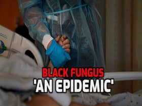 Black Fungus: With 944 Cases Of Mucormycosis, Delhi Is Facing Shortage of Drugs, Arvind Kejriwal Confirms