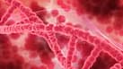 New Drug Combo Can Help Treat High-Risk Leukaemia In Youngsters