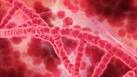 New Drug Combo Can Help Treat High-Risk Leukaemia In Youngsters