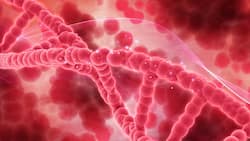 New Drug Combo Can Help Treat High-Risk Leukaemia In Youngsters