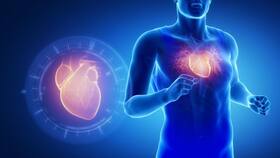 Keep your muscles fit to safeguard heart health