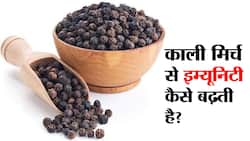 Kali Mirch se Immunity kaise badhaye : दिन में इन 3 तरीकों से खाई जा सकती है काली मिर्च, स्वाद-स्वाद में कई गुना तक बढ़ जाएगी इम्यूनिटी