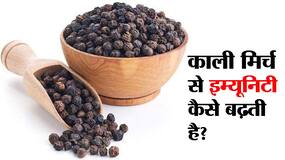 Kali Mirch se Immunity kaise badhaye : दिन में इन 3 तरीकों से खाई जा सकती है काली मिर्च, स्वाद-स्वाद में कई गुना तक बढ़ जाएगी इम्यूनिटी