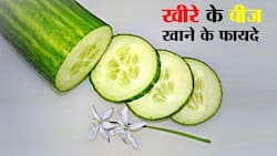 खीरे के बीज खाने के फायदे