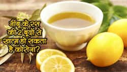 नींबू के रस की 2-3 बूंदें नाक में डालने से तुरंत खत्म हो जाता है कोरोना? जानें कितना सच्चा है साधू के वायरल वीडियो पोस्ट का दावा