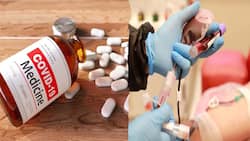 Plasma Therapy: कोरोना मरीजों को अब नहीं दी जाएगी प्‍लाज्‍मा थेरेपी और ये 5 दवाएं