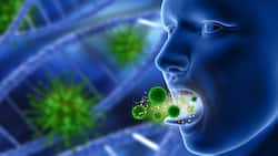 Oral Cancer Myths: Knowing These Misconceptions Can Reduce The Risk