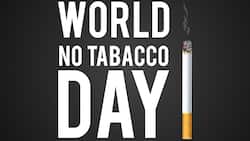 No Tobacco Day 2021: Quit Smoking To Save Humanity; The Risk Is Bigger Than Your Health