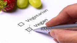 Stop Making These Mistakes If You Are On A Vegan Or Vegetarian Diet