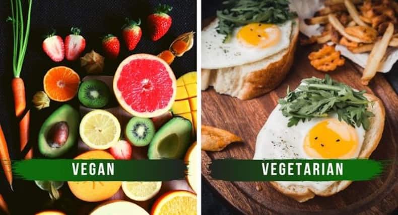 Stop Making These Mistakes If You Are On A Vegan Or Vegetarian Diet
