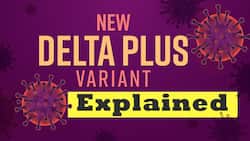 Delta Plus Variant: Why It May Trigger A Third Covid-19 Wave In India — Explained
