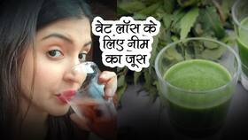 वजन घटाने के लिए सेलिब्रिटी भी डिलीवरी के बाद पीती हैं नीम का जूस, 15 दिन में दिखता है असर वजन घटाने के लिए सेलिब्रिटी भी डिलीवरी के बाद पीती हैं नीम का जूस, 15 दिन में दिखता है असर