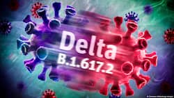 Delta Variant Spreading Rapidly Across The Globe, Vaccination May Not Be Enough: WHO