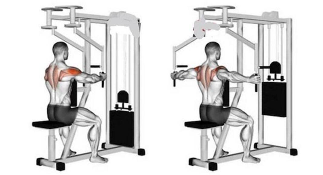 Shoulder Exercises: ऋतिक रोशन और टाइगर श्रॉफ जैसे मजबूत कंधे चाहिए तो रोजाना करें ये 5 शोल्‍डर एक्‍सरसाइज, आप भी दिखेंगे आकर्षक