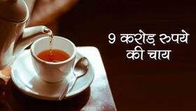 Most Expensive Tea: दाहुंग पाओ है दुनिया की सबसे महंगी चाय, 9 करोड़ रुपये है कीमत, जानिए कहां मिलती है ये चाय Most Expensive Tea: दाहुंग पाओ है दुनिया की सबसे महंगी चाय, 9 करोड़ रुपये है कीमत, जानिए कहां मिलती है ये चाय