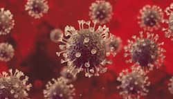 COVID-19 Survivors Still At Reinfection Risk From These Two Variants of Coronavirus - Read Details Here