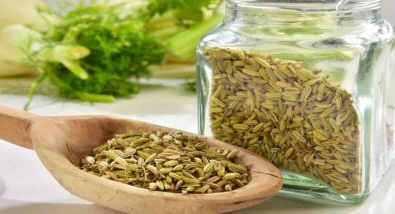 Saunf For Summer Diet: गर्मी के मौसम में सौंफ को डाइट में शामिल करने के 5 तरीके, होंगे कई फायदे