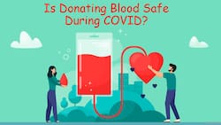 Risk of Contracting Coronavirus, Fainting And More: Top 5 Blood Donation Myths Busted