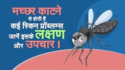 Mosquito Bites and Skin Problems: मच्छरों के काटने के बाद त्वचा का ख्याल रखने के लिए एक्सपर्ट टिप्स ।