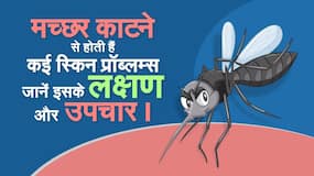 Mosquito Bites and Skin Problems: मच्छरों के काटने के बाद त्वचा का ख्याल रखने के लिए एक्सपर्ट टिप्स ।