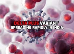 COVID-19 Delta Plus Variant Spreading Rapidly In India, Government Issues Alert In 3 States - Details Here