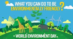 World Environment Day: 5 Simple Steps You Can Take To Protect The Environment