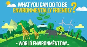 World Environment Day: 5 Simple Steps You Can Take To Protect The Environment