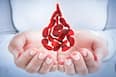 Recovered From COVID-19? Doctor Reveals Precautions You Need To Take While Donating Blood