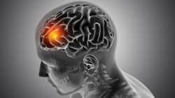 Covid-19 With Oxygen Therapy May Result In Low ‘Gray Matter’ In The Brain; Here's How To Mitigate The Risk