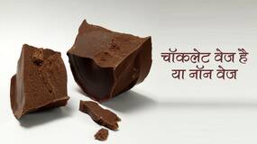 चॉकलेट वेज या है या नॉन वेज? जानें किस पेड़ से बनती है चॉकलेट और क्या वाकई चॉकलेट से घटता है वजन चॉकलेट वेज या है या नॉन वेज? जानें किस पेड़ से बनती है चॉकलेट और क्या वाकई चॉकलेट से घटता है वजन
