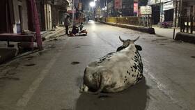 COVID-19 Unlockdown: Here’s What Will Be Allowed In Uttar Pradesh After Monday’s Easing Of Lockdown Norms