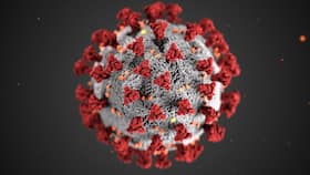 Changes In Spike Protein In Covid Variants Can Render Current Vaccines Ineffective