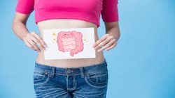 5 Gut Healers: Foods That Will Help Heal An Unhealthy Gut