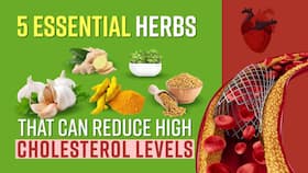 5 Essential Herbs That Can Reduce High Cholesterol Levels