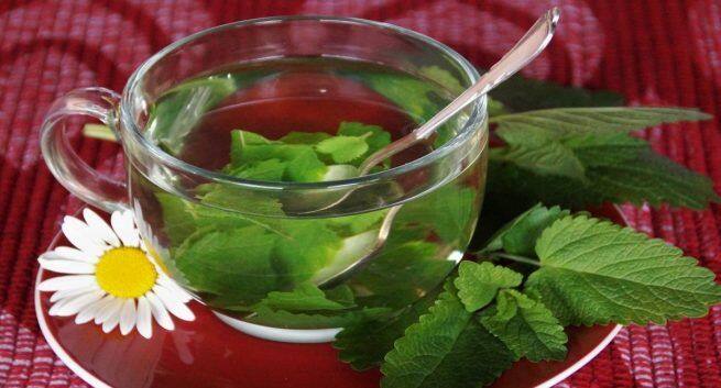 Kadha Benefits in Summer in Hindi: गर्मी के मौसम में काढ़ा पीने के फायदे-नुकसान, जानें किस तरह और कितनी मात्रा में पिएं काढ़ा - Vimarsana News