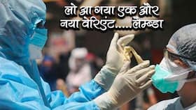 डेल्टा प्लस का खतरा टला नहीं अब 29 देशों में फैला कोरोना का नया और ज्यादा घातक वेरिएंट 'Lambda', जानें कितना घातक है ये वायरस डेल्टा प्लस का खतरा टला नहीं अब 29 देशों में फैला कोरोना का नया और ज्यादा घातक वेरिएंट 'Lambda', जानें कितना घातक है ये वायरस