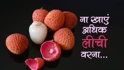 लीची अधिक खाने के नुकसान