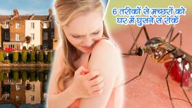 सुबह हो या शाम घर में नहीं दिखाई देगा 1 भी मच्छर! करें ये 6 उपाय और भगाएं घर से जहरीले मच्छर