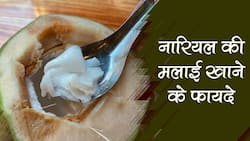 नारियल पानी से ज्यादा फायदेमंद होती है नारियल की मलाई