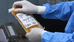 Plasma Therapy Increases The Chance Of Survival In Covid Patients With Blood Cancer: Study